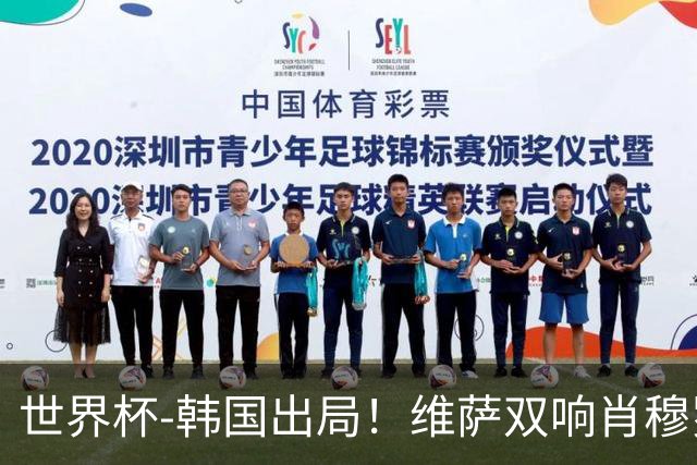 世界杯-韩国出局！维萨双响肖穆罗多夫神仙球 民主刚果3-1乌兹