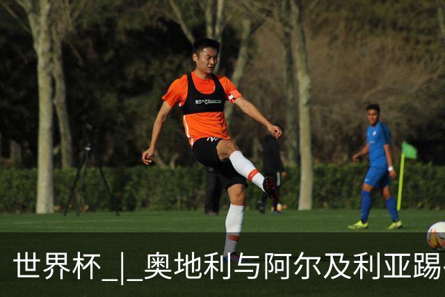 世界杯 | 奥地利与阿尔及利亚踢平携手晋级送伊朗出局