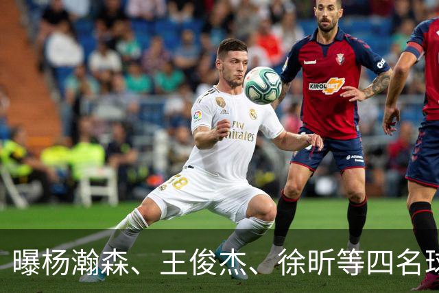 曝杨瀚森、王俊杰、徐昕等四名球员将离队！中国男篮7月13日再次开启集训