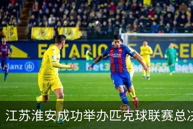 江苏淮安成功举办匹克球联赛总决赛，展现全民健身活力
