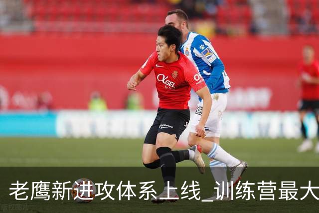 老鹰新进攻体系上线 训练营最大悬念直接压在赫茨身上