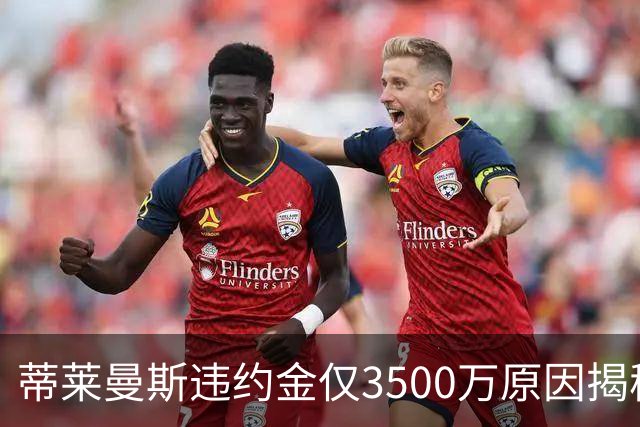 蒂莱曼斯违约金仅3500万原因揭秘！维拉报复曼联，怒抢三潜在目标