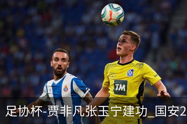 足协杯-贾非凡张玉宁建功 国安2-1大连可为晋级8强